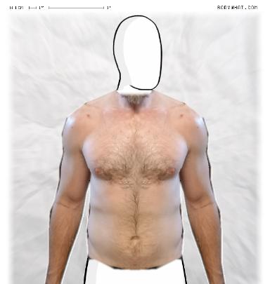 Slim Morphing