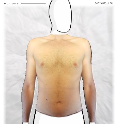 Slim Morphing