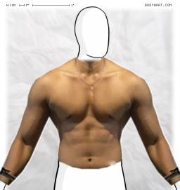 Torso