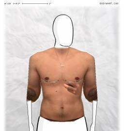 Torso