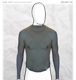 Torso