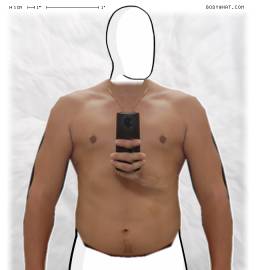 Torso
