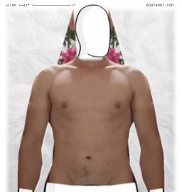 Torso