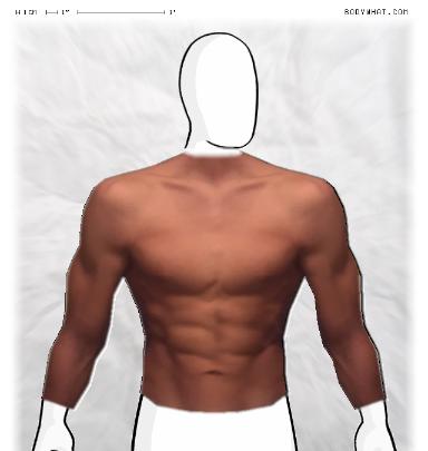 Muscle-ing up