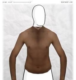 Torso