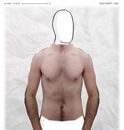 Torso