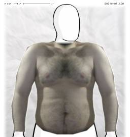 Torso