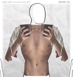 Torso