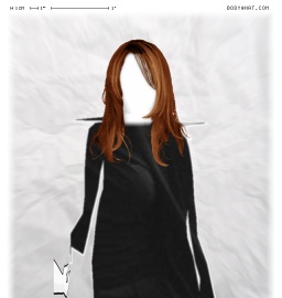 Torso