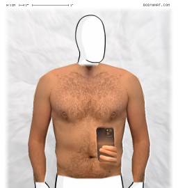 Torso
