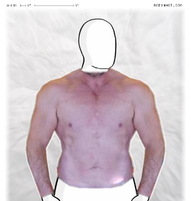 Muscle Morphing