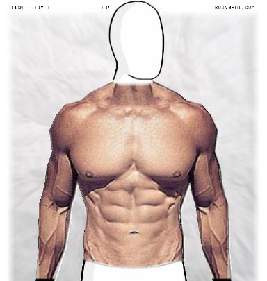 Muscle-ing up