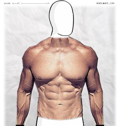 Muscle-ing up