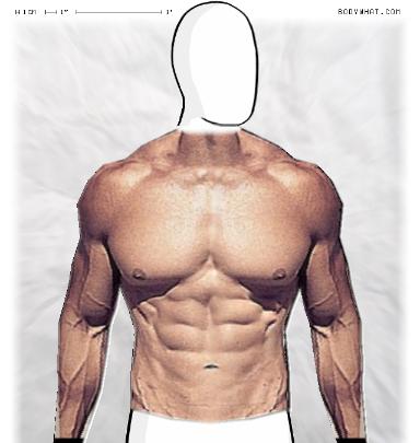 Muscle-ing up