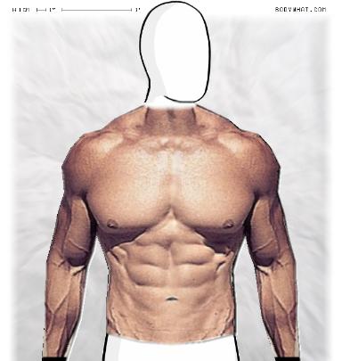Muscle-ing up