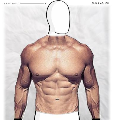 Muscle-ing up