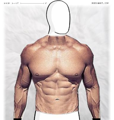Muscle-ing up