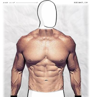 Muscle-ing up