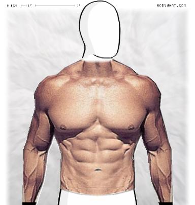 Muscle-ing up