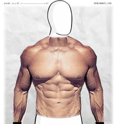 Muscle-ing up
