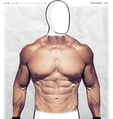 Muscle-ing up