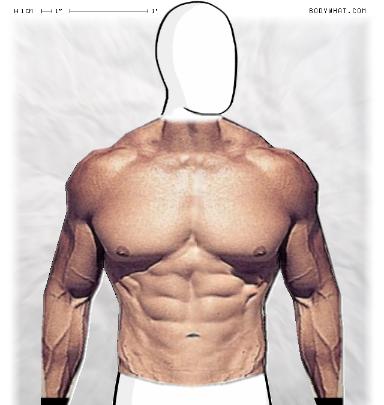 Muscle-ing up