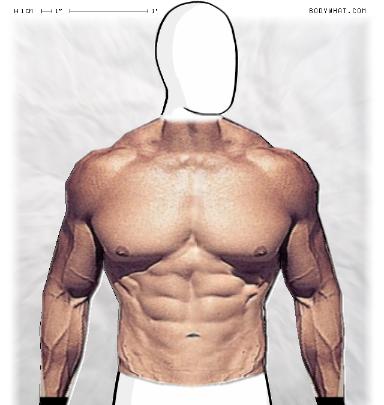 Muscle-ing up
