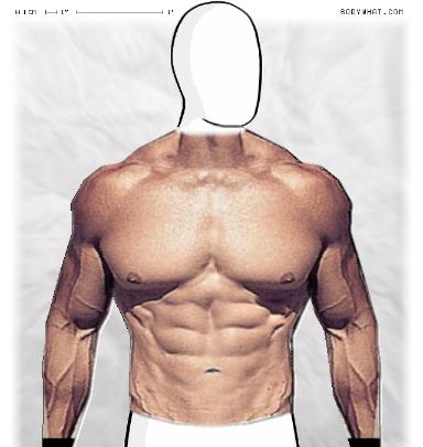 Muscle-ing up