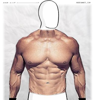 Muscle-ing up