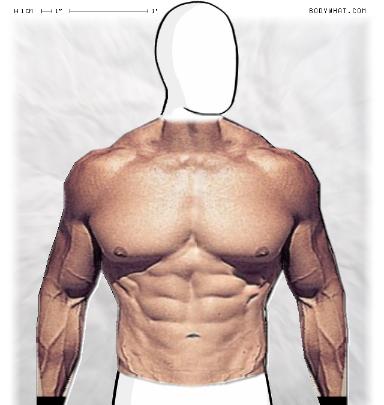Muscle-ing up