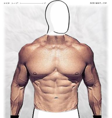 Muscle-ing up