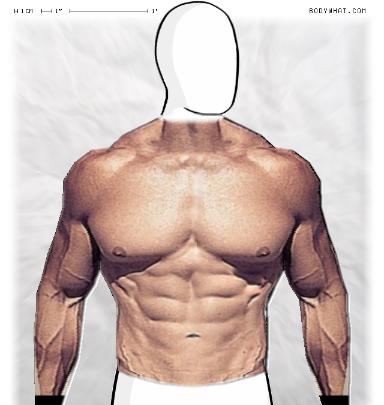 Muscle-ing up