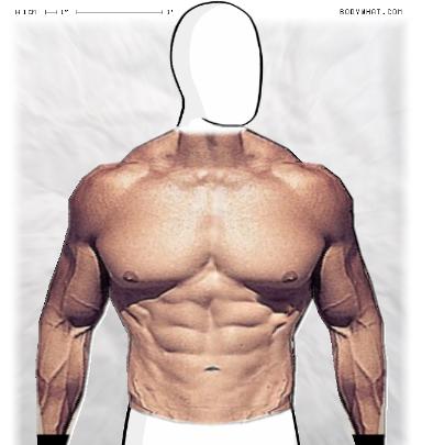 Muscle-ing up