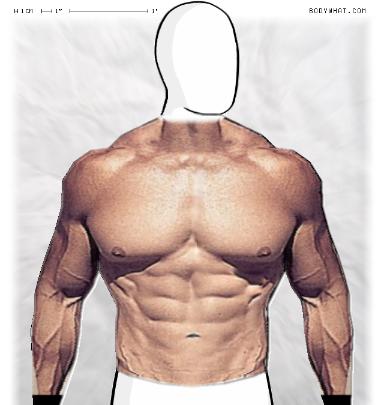 Muscle-ing up