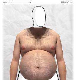 Torso
