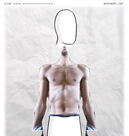 Torso