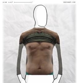 Torso