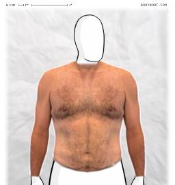 Torso