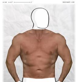 Torso