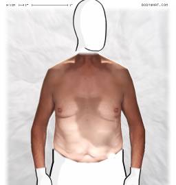 Torso
