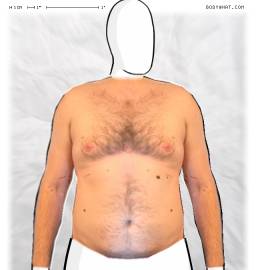 Torso