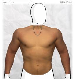 Torso