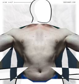 Torso