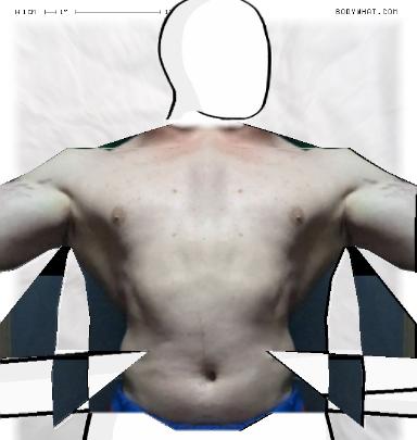 Muscle Morphing