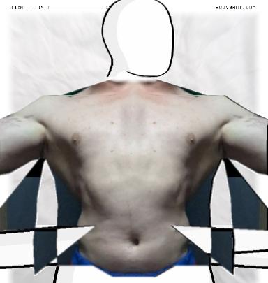 Slim Morphing