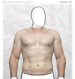 Torso