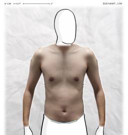 Torso