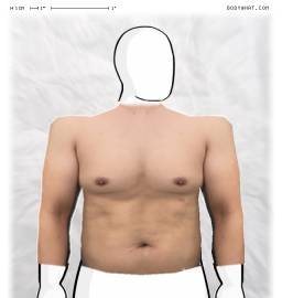 Torso
