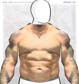 Torso