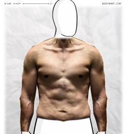 Torso